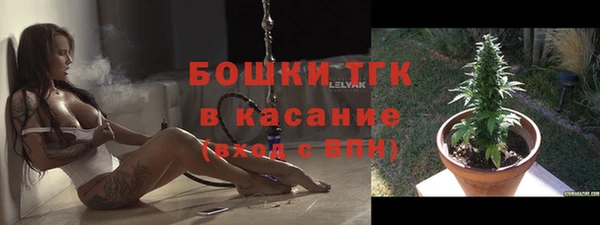 прущие грибы Ростов