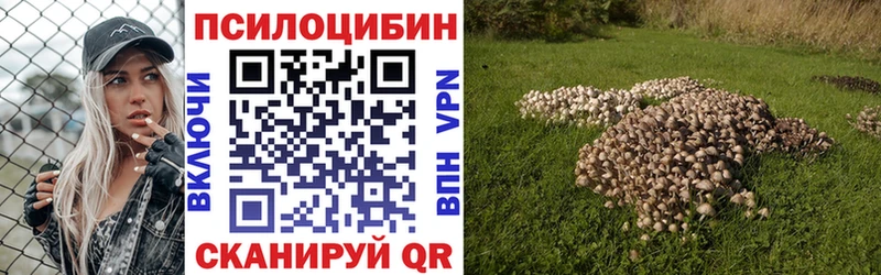 Псилоцибиновые грибы Psilocybine cubensis Новоаннинский