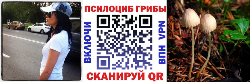 Галлюциногенные грибы Cubensis ОМГ ОМГ зеркало Новоаннинский